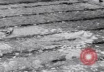 Standbild Schwimmen Meisterschaft Tyler Texas USA, 1956, aus Sekunde 21 historischem Filmmaterial Videoclip 65675040957