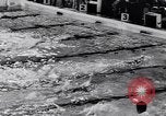 Standbild Schwimmen Meisterschaft Tyler Texas USA, 1956, aus Sekunde 52 historischem Filmmaterial Videoclip 65675040957