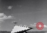 Standbild PBY Catalina Pearl Harbor Hawaii USA, 1942, aus Sekunde 52 historischem Filmmaterial Videoclip 65675040958