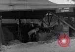 Standbild ordnance Green Island South Pacific, 1944, aus Sekunde 17 historischem Filmmaterial Videoclip 65675040962