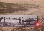 Standbild Borax Transport von 20 Maultier Teams Death Valley California USA, 1894, aus Sekunde 13 historischem Filmmaterial Videoclip 65675040984
