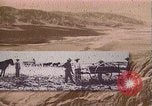 Standbild Borax Transport von 20 Maultier Teams Death Valley California USA, 1894, aus Sekunde 14 historischem Filmmaterial Videoclip 65675040984