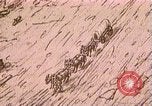 Standbild Borax Transport von 20 Maultier Teams Death Valley California USA, 1894, aus Sekunde 36 historischem Filmmaterial Videoclip 65675040984