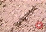Standbild Borax Transport von 20 Maultier Teams Death Valley California USA, 1894, aus Sekunde 37 historischem Filmmaterial Videoclip 65675040984