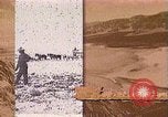 Standbild Borax Transport von 20 Maultier Teams Death Valley California USA, 1894, aus Sekunde 59 historischem Filmmaterial Videoclip 65675040984