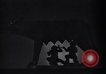 Image organisation de jeunesse fasciste Italie, 1940, de la seconde 10 séquences d'archives historiques vidéo 65675040997