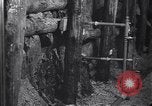 Image of Merano Spa Merano Italy, 1940, second 17 stock footage video 65675040998