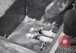 Image of Merano Spa Merano Italy, 1940, second 30 stock footage video 65675040998