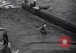 Image of Regatta Prague Czechoslovakia, 1940, second 36 stock footage video 65675040999