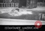 Image of Hippopotamus San Diego California USA, 1940, second 3 stock footage video 65675041000