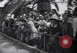 Image of Hippopotamus San Diego California USA, 1940, second 7 stock footage video 65675041000