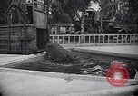 Image of Hippopotamus San Diego California USA, 1940, second 9 stock footage video 65675041000