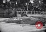 Image of Hippopotamus San Diego California USA, 1940, second 25 stock footage video 65675041000