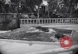 Image of Hippopotamus San Diego California USA, 1940, second 27 stock footage video 65675041000
