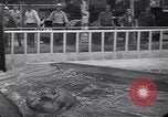 Image of Hippopotamus San Diego California USA, 1940, second 28 stock footage video 65675041000