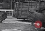 Image of Hippopotamus San Diego California USA, 1940, second 33 stock footage video 65675041000