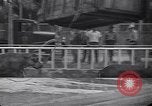 Image of Hippopotamus San Diego California USA, 1940, second 40 stock footage video 65675041000