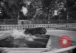Image of Hippopotamus San Diego California USA, 1940, second 44 stock footage video 65675041000