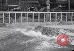 Image of Hippopotamus San Diego California USA, 1940, second 57 stock footage video 65675041000