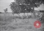Image of Italian forces advancing during Sudan campaign in World War II Kurmuk Sudan, 1940, second 11 stock footage video 65675041003