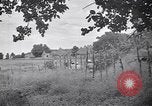 Image of Italian forces advancing during Sudan campaign in World War II Kurmuk Sudan, 1940, second 23 stock footage video 65675041003