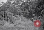 Image of Italian forces advancing during Sudan campaign in World War II Kurmuk Sudan, 1940, second 57 stock footage video 65675041003