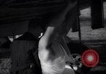 Image of Spitfire plane rearming and refueling United Kingdom, 1940, second 52 stock footage video 65675041012