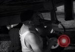 Image of Spitfire plane rearming and refueling United Kingdom, 1940, second 54 stock footage video 65675041012