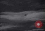 Image of British Spitfire aircraft in flight England United Kingdom, 1940, second 49 stock footage video 65675041014