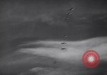 Image of British Spitfire aircraft in flight England United Kingdom, 1940, second 52 stock footage video 65675041014