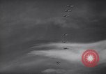 Image of British Spitfire aircraft in flight England United Kingdom, 1940, second 53 stock footage video 65675041014