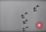 Image of British Boulton Paul Defiant aircraft England United Kingdom, 1940, second 18 stock footage video 65675041015