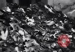 Image of Air raid Battle of Britain London England United Kingdom, 1940, second 38 stock footage video 65675041020