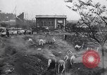 Image of Air raid Battle of Britain London England United Kingdom, 1940, second 53 stock footage video 65675041020