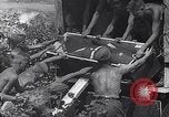 Standbild Luftwaffe Aircraft Operations Ostfront, 1941, aus Sekunde 12 historischem Filmmaterial Videoclip 65675041021