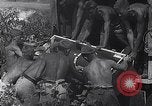 Standbild Luftwaffe Aircraft Operations Ostfront, 1941, aus Sekunde 14 historischem Filmmaterial Videoclip 65675041021