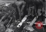 Standbild Luftwaffe Aircraft Operations Ostfront, 1941, aus Sekunde 16 historischem Filmmaterial Videoclip 65675041021