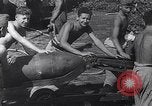 Standbild Luftwaffe Aircraft Operations Ostfront, 1941, aus Sekunde 25 historischem Filmmaterial Videoclip 65675041021