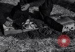 Image of Werner Molders Germany, 1940, second 22 stock footage video 65675041023