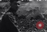 Image of Gun cannons Germany, 1940, second 49 stock footage video 65675041024