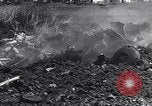 Image of Gun cannons Germany, 1940, second 51 stock footage video 65675041024