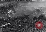 Image of Gun cannons Germany, 1940, second 52 stock footage video 65675041024
