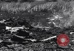 Image of Gun cannons Germany, 1940, second 55 stock footage video 65675041024