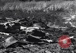 Image of Gun cannons Germany, 1940, second 56 stock footage video 65675041024