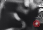 Image of German war planes Germany, 1940, second 8 stock footage video 65675041027