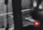 Image of German war planes Germany, 1940, second 43 stock footage video 65675041027
