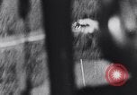 Image of German war planes Germany, 1940, second 48 stock footage video 65675041027
