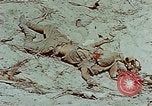 Standbild tote japanische Soldaten Eniwetok Atoll Marshall Inseln, 1944, aus Sekunde 28 historischem Filmmaterial Videoclip 65675041028