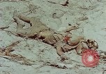 Standbild tote japanische Soldaten Eniwetok Atoll Marshall Inseln, 1944, aus Sekunde 29 historischem Filmmaterial Videoclip 65675041028