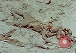 Standbild tote japanische Soldaten Eniwetok Atoll Marshall Inseln, 1944, aus Sekunde 31 historischem Filmmaterial Videoclip 65675041028